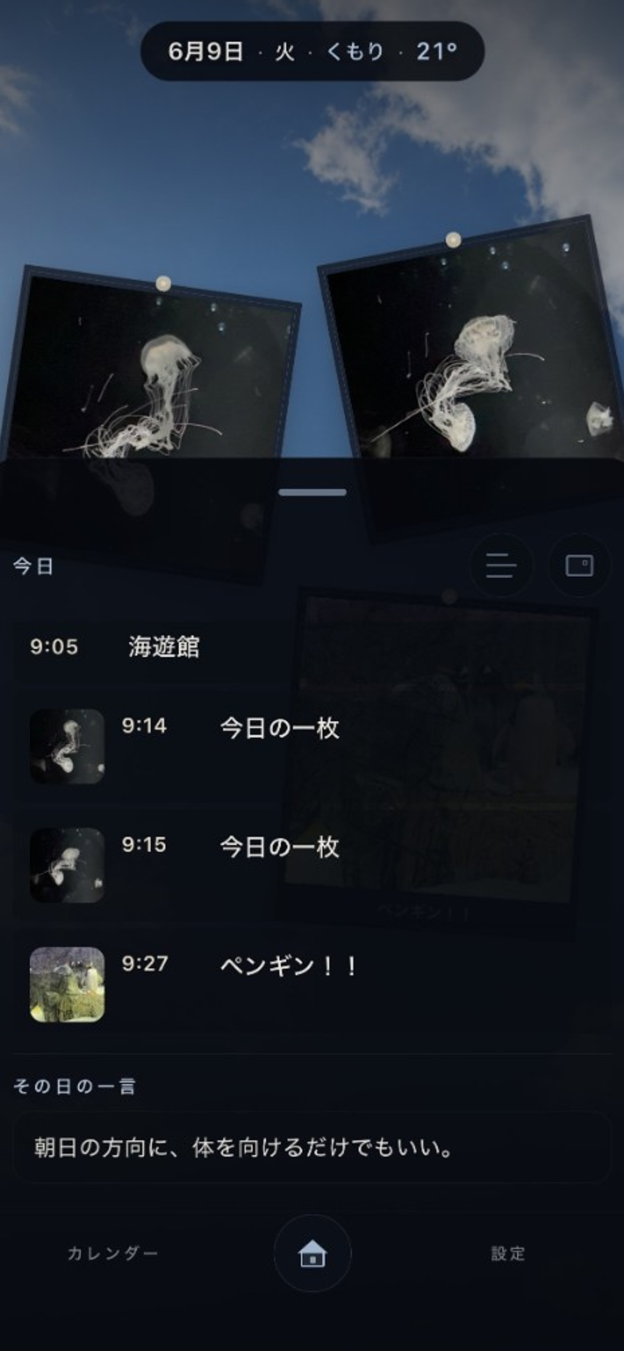 今日の記録